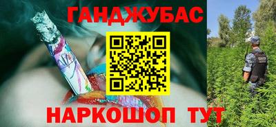 бошки Дмитров