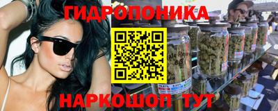 бошки Дмитров